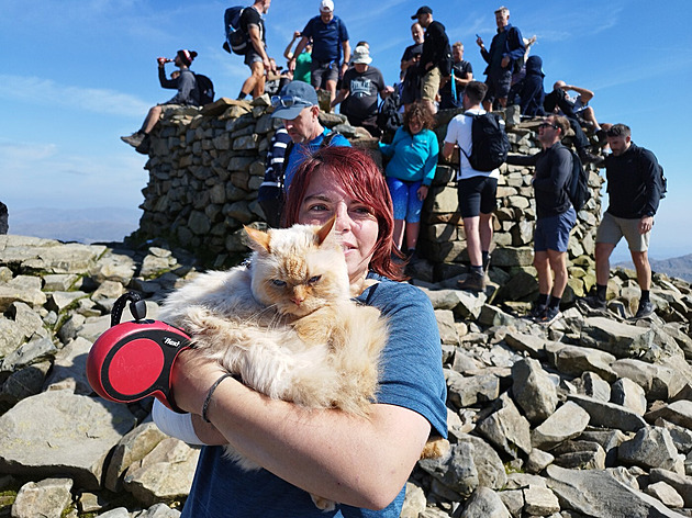 A pak že jsou kočky líné. Kocour Luis zdolal ikonický závod Three Peaks