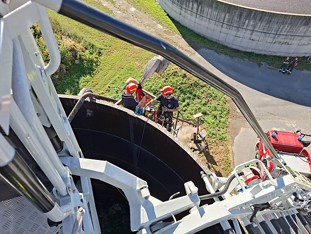 Náš nový vrátný, oblíbili si v zemědělském družstvu čápa. Pak spadl do hluboké jímky