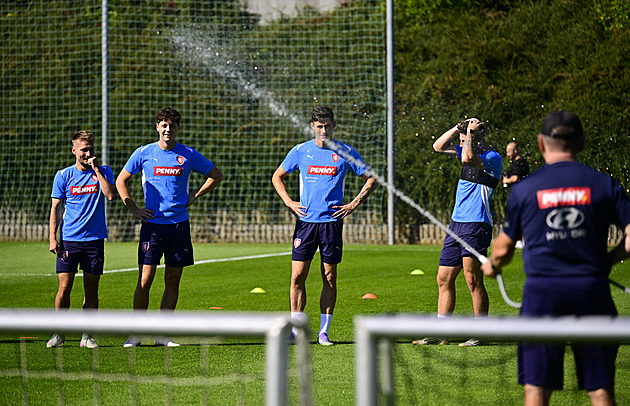 Minimum změn a sázka na útok. Čtenáři před Černou Horou váhají jen u gólmanů