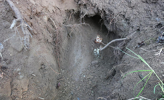 Nález pumy z války na bratislavském staveništi. Chystá se evakuace okolí