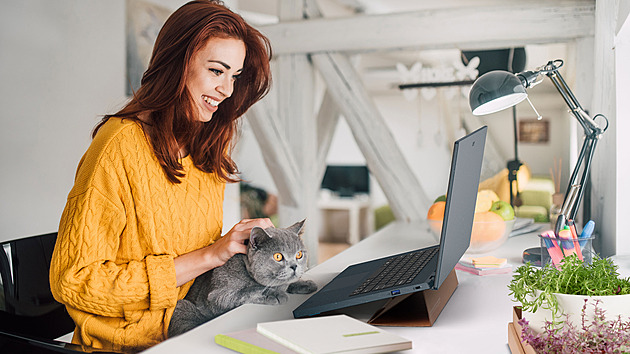 Vyzkoušejte chytré zkratky, tajné čáry ve Windows či kouzla s Notepadem