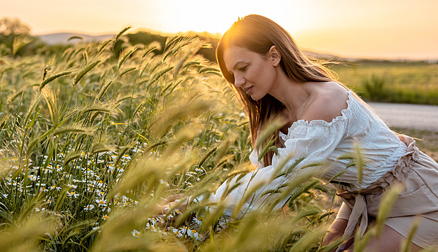 Heřmánek je lék na nervy, oči i žaludek. Želatina zklidní trávení i pleť