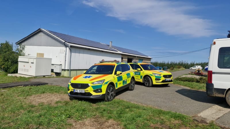 Drama na Plzeňsku: Při závodě se psy zaútočil roj sršňů. Na místě zasahovali záchranáři