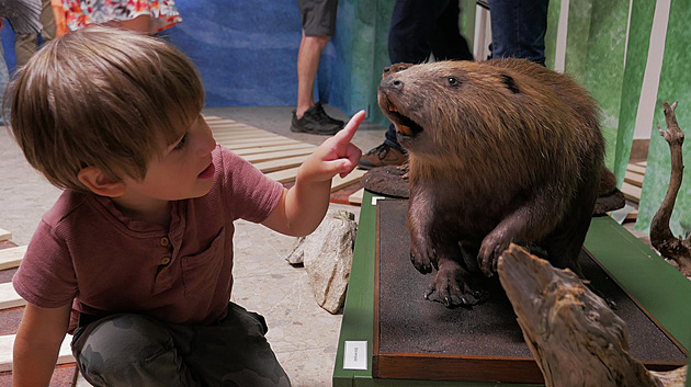 Psi, bobří ocasy i šneci. Jídelníček starých Horáků byl pestrý