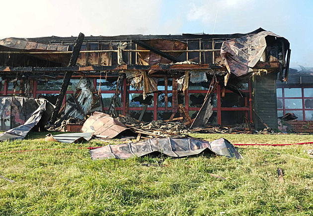 Údržbáře soudí za zapálení bazénu při likvidaci sršního hnízda, hrozí mu osm let