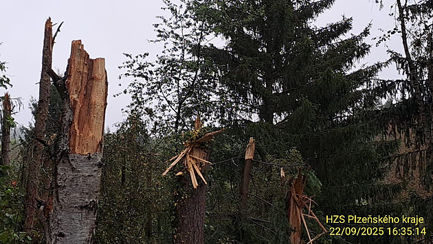 Výbuch za letu, nebo požár po nárazu? Odborníci vyšetřují pád stroje na Plzeňsku