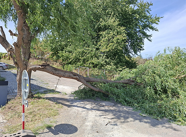 Silný vítr na severovýchodě Česka láme stromy. Má ještě zesílit, varují předpovědi