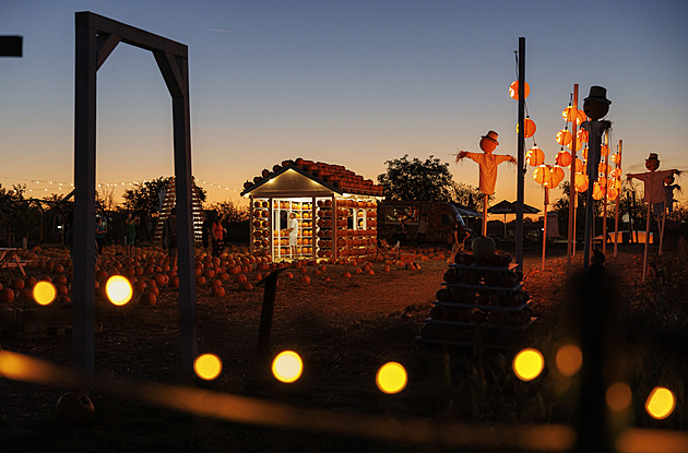 OBRAZEM: Tady i straší! Tisíce dýní v halloweenském areálu tvoří fascinující svět