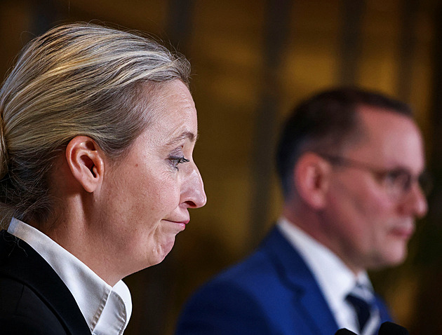 AfD v Severním Porýní-Vestfálsku dostala trojnásobek. Boj o primátory ale nezvládla