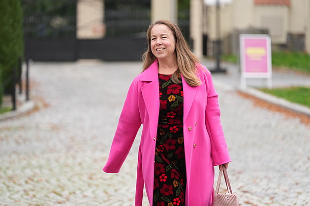 Do štábu STAN dorazila místopředsedkyně i známý podnikatel. Čeká se na Rakušana