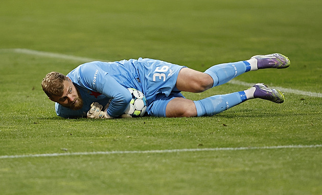Staněk a Jaroš vypadli z reprezentace kvůli zranění. Nahradí je Jedlička s Horníčkem