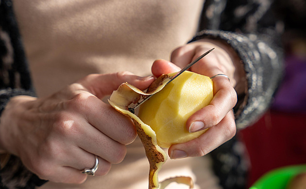 Neobyčejně obyčejná hlíza, která dobyla Evropu. Pozoruhodný příběh brambor