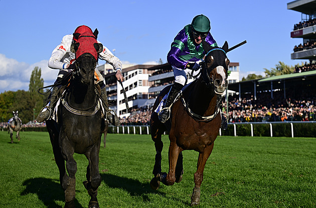 Senzace na Velké Pardubické. Po třiceti letech slaví výhru zahraniční kůň