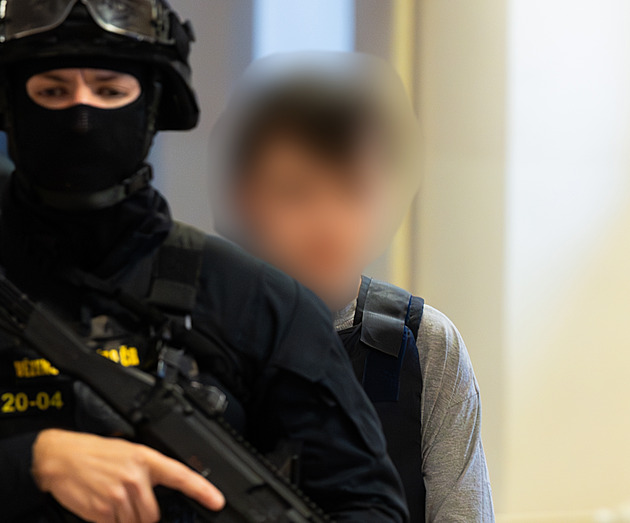 Sexuální deviant, musí do detence, řekli znalci v případu vraždy prodavaček