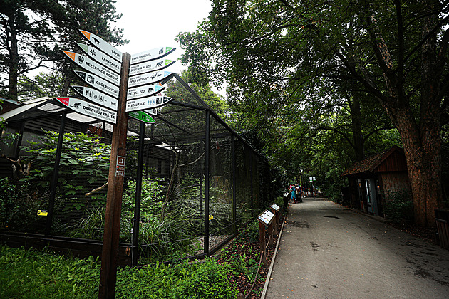 Hledá se nástupce Bobka. Praha vypsala výběrové řízení na nového ředitele zoo