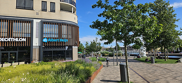 Jak se nakupuje v nizozemské „matce“ českého Alberta. Ceny někdy překvapí