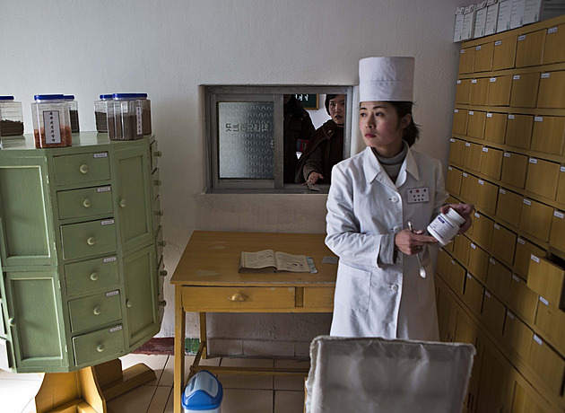 Severokorejská tradiční medicína dobývá ruský trh. Slibuje zázraky
