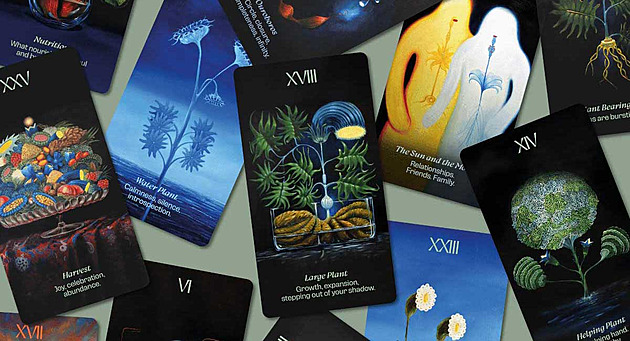 Umělkyně Klára Sedlo uvádí Voynichovy karty