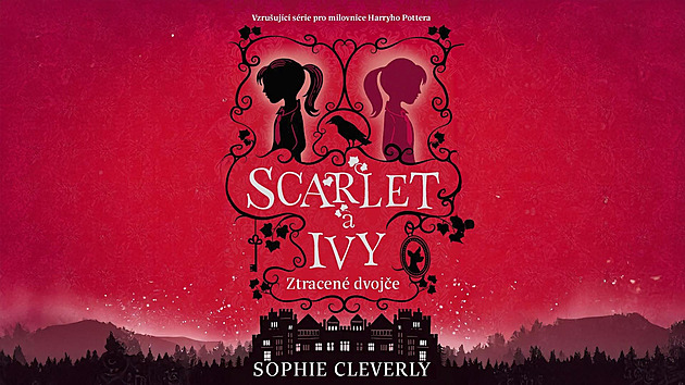 Odvážná sestra hledá Ztracené dvojče. E-kniha pro dospívající zdarma