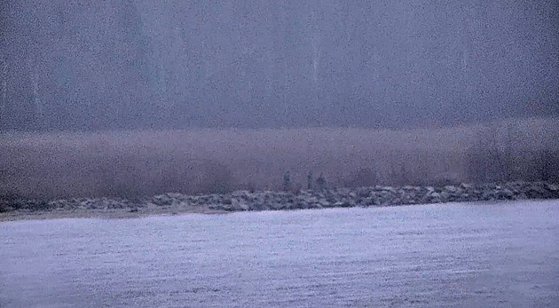 Ruští pohraničníci vstoupili na území Estonska. Dorazili ve vznášedlu