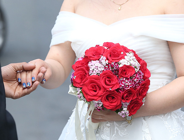 Dovážejme panny z Vietnamu, navrhl politik. Receptem na porodnost šokoval