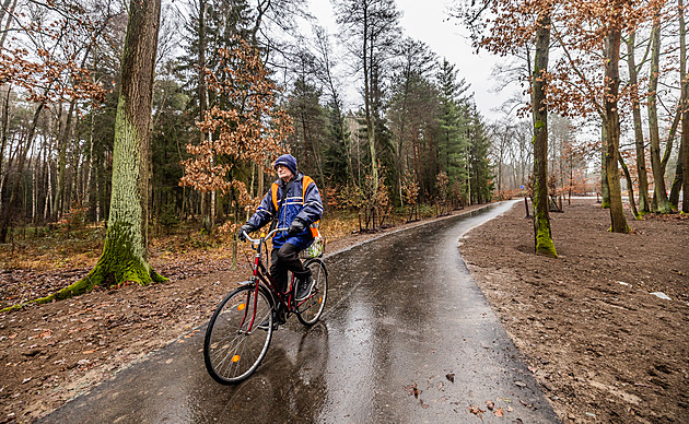 Ruční výkopy i bažina. Nová cyklostezka na Mariánskolázeňsku bude výzva
