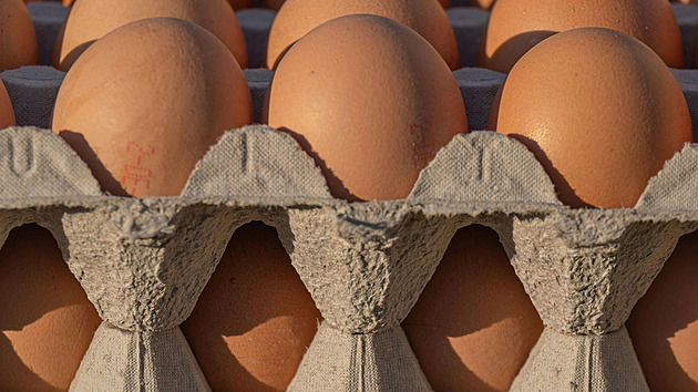Co znamenají čísla na vejcích? Tahák, se kterým už v obchodě nesáhnete vedle