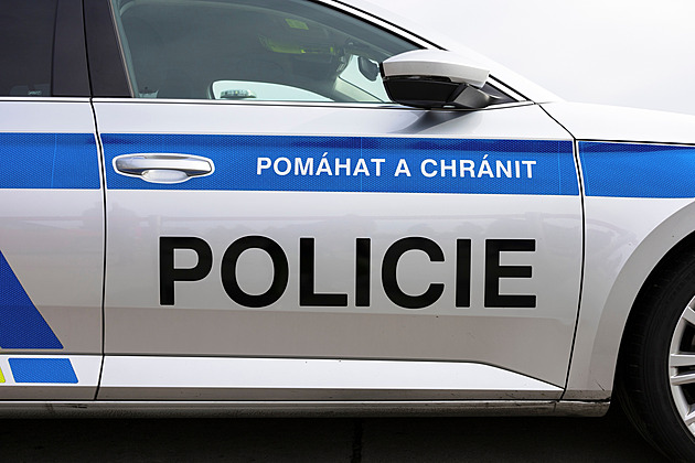 Přes 150 psů v množírně na Příbramsku. Manželům hrozí až čtyři roky vězení