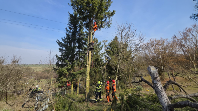 Neobvyklá záchrana: V šesti metrech zasáhla člověka na stromě elektřina, museli pro něj lezci