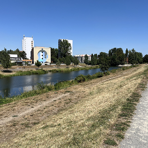 Tráva vypadá jako suchá, ale kořínky přežívají, hájí technické služby letní sečení